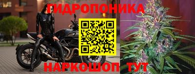 соль ск Комсомольск-на-Амуре