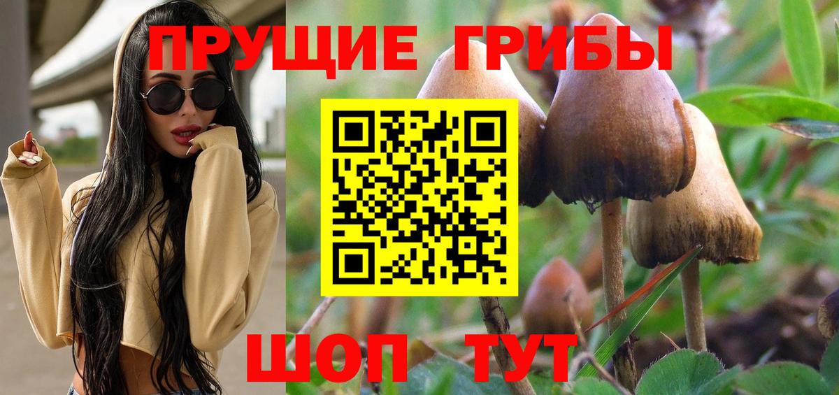 Галлюциногенные грибы Cubensis Чита